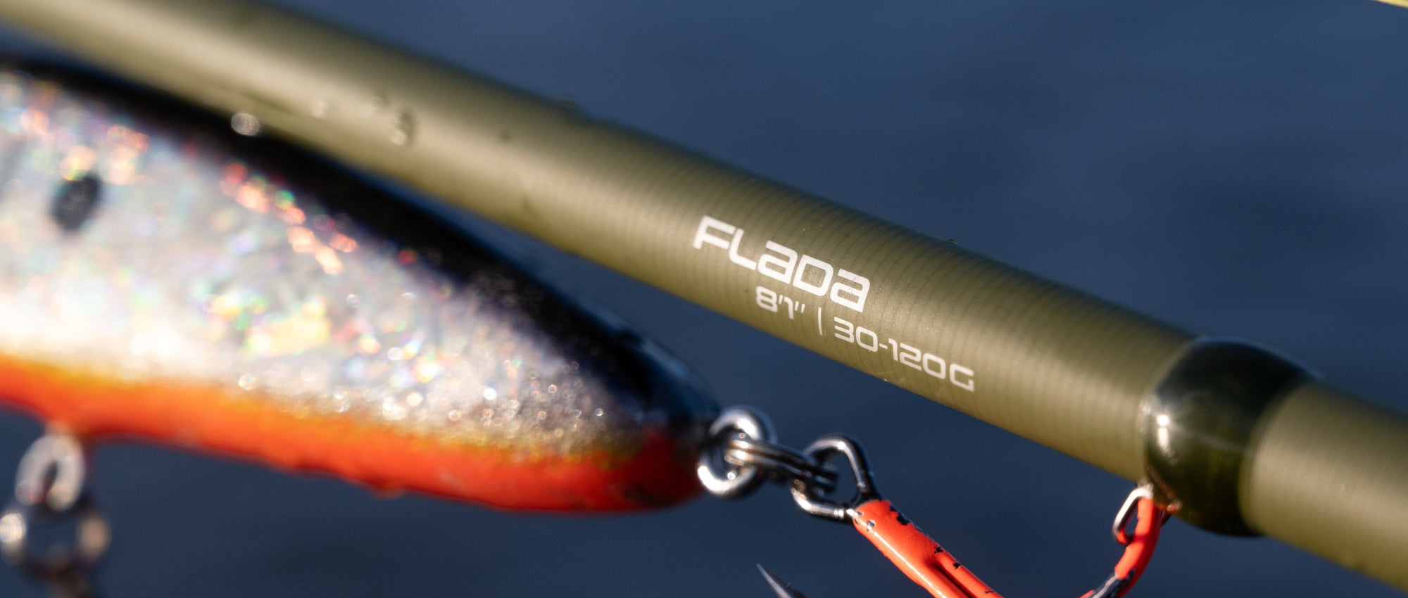 Aava Rods