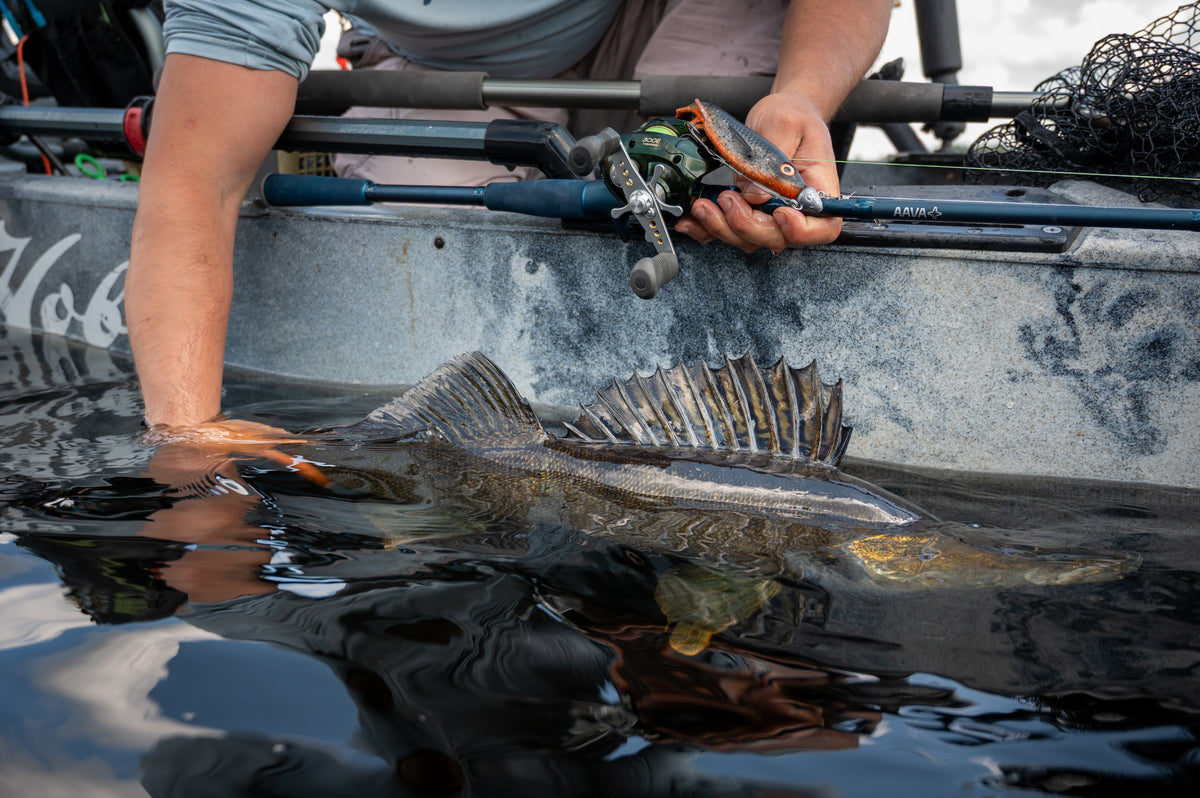 Aava Fishing | Official Site
