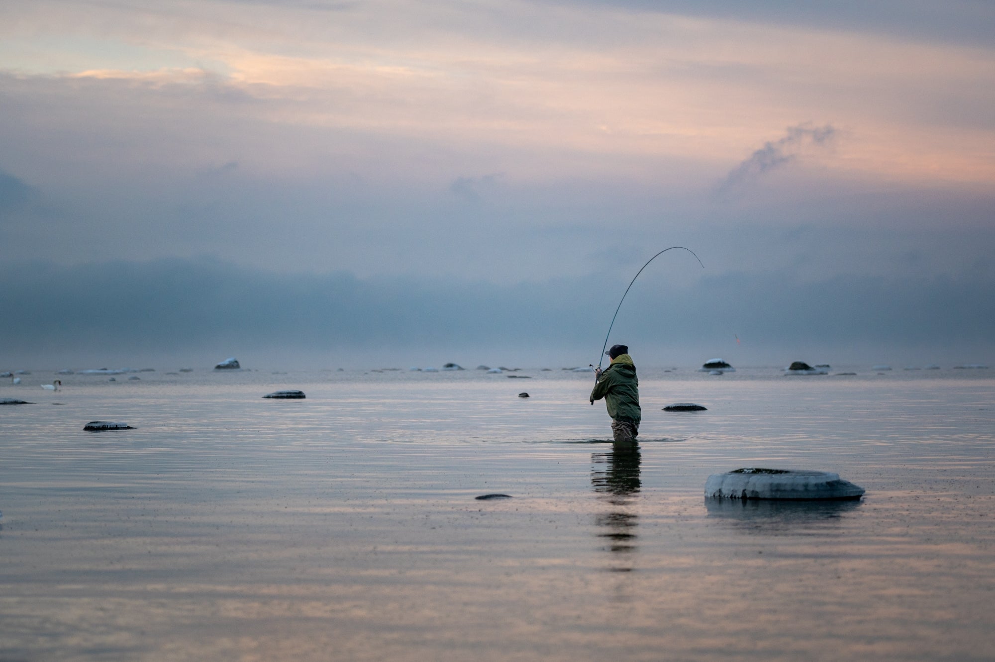 Aava Fishing | Official Site