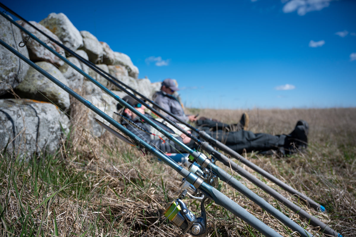 Aava Fishing | Official Site
