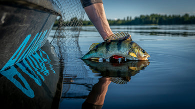Aava Fishing | Official Site